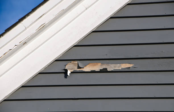 Best Aluminum Siding Installation  in Salem Lakes, WI